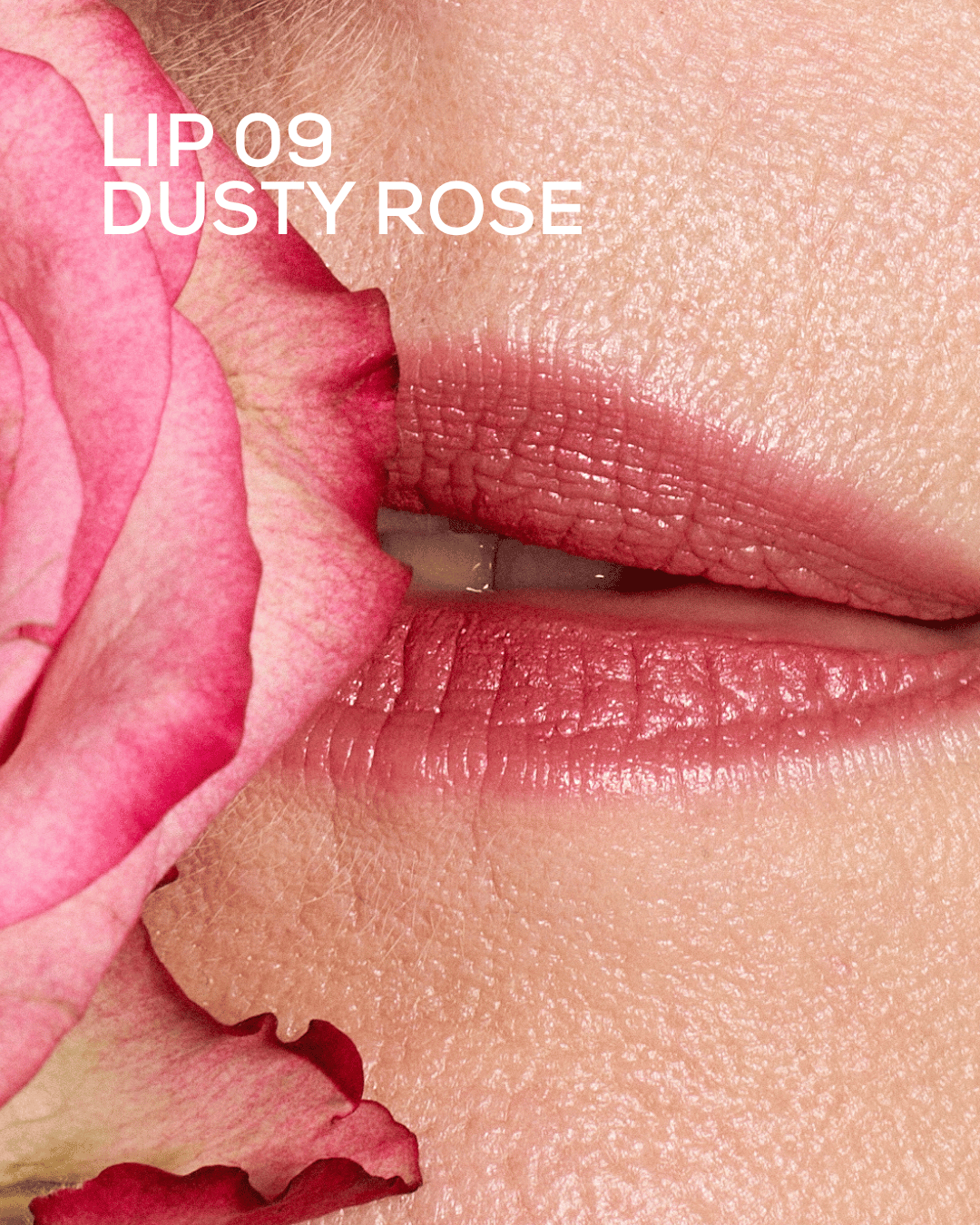 Lonis Nude Lip Set
